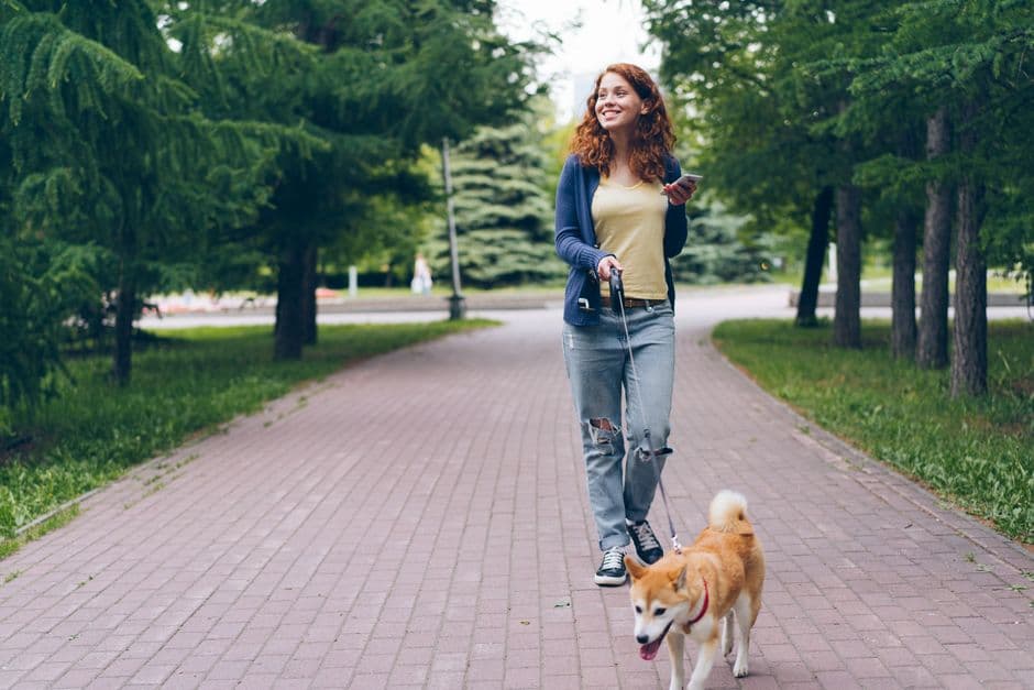 How Often to Walk a Dog: Daily Walks by Breed